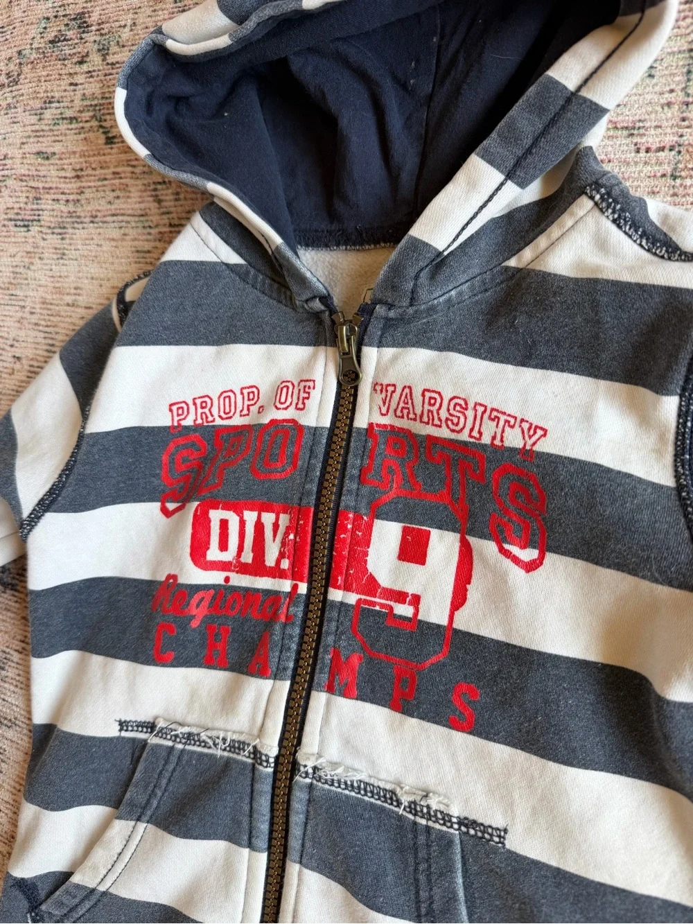 Place Boys Navy & White Striped Zip Hoodie with Red Graphic